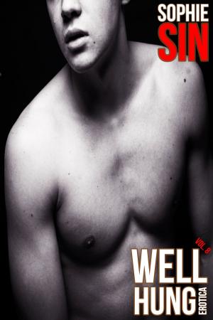 bigCover of the book Well Hung Erotica Vol. 8 by 
