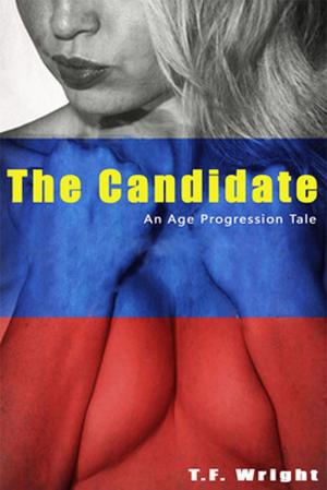 Cover of the book The Candidate: An Age Progression Tale by Denise Avery