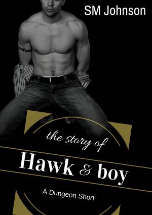 Book cover of The Story of Hawk and Boy
