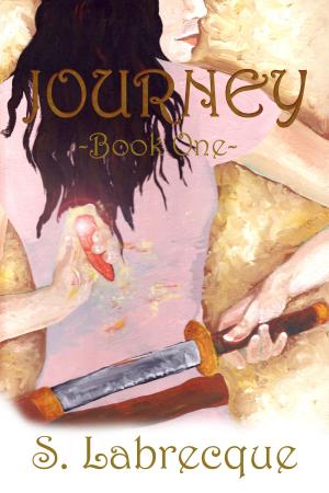 Cover of the book Journey by Laura Resnick