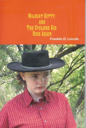 Cover of the book Wildcat Kitty and The Cyclone Kid Ride Again by Susan George, Joanne Oates