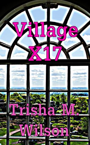 Cover of the book Village X17 by Jamie Le Fay