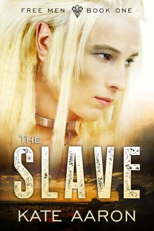 Cover of the book The Slave (Free Men, #1) by Kate Aaron