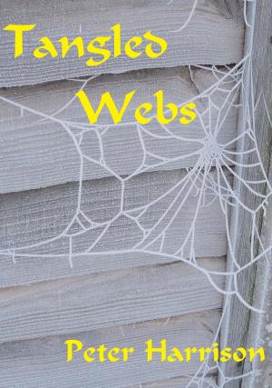 Cover of the book Tangled Webs by Jaden Skye