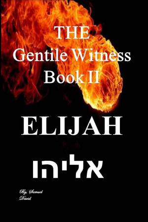 Cover of the book The Gentile Witness Book II Elijah by Joey Peters
