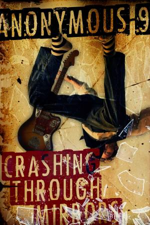Cover of Crashing Through Mirrors