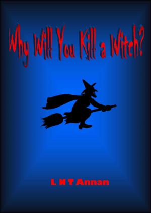 Cover of the book Why Will You Kill a Witch? by Alinka Rutkowska