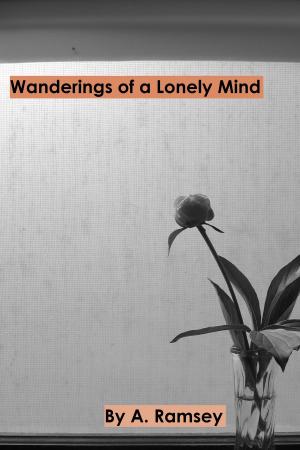 Cover of the book Wanderings of a Lonely Mind by Tricia Drammeh