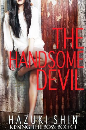 Cover of the book The Handsome Devil by Monica Barrie