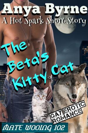 Book cover of The Beta's Kitty Cat