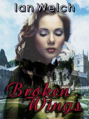 Cover of the book Broken Wings by Lawrence Lariar