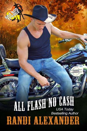 Cover of the book All Flash No Cash: A Red Hot Treat Story by Yvonne Marjot