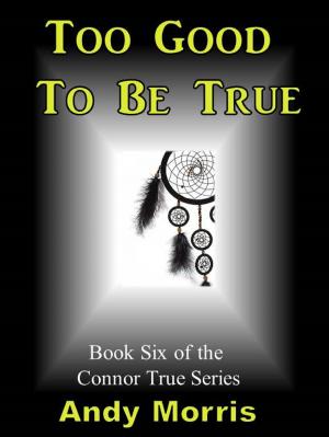 Cover of the book Too Good To Be True: Book Six of the Connor True Series by Rhett C. Bruno