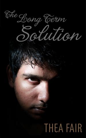 Cover of the book The Long Term Solution by Sierra Wolf