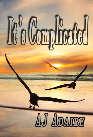 Cover of the book It's Complicated by Rae D. Magdon