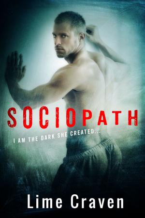 Cover of the book Sociopath by Jacqueline Henry