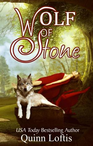 Book cover of Wolf of Stone