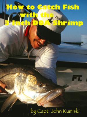 Cover of the book How to Catch Fish with the Three Inch DOA Shrimp by Bill Horn