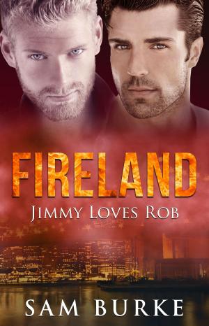 Cover of the book Fireland: Jimmy Loves Rob by Drew Scott