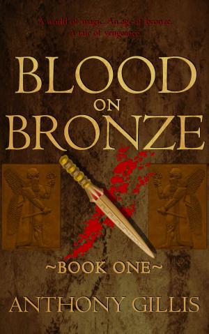 Cover of the book Blood on Bronze by Stephen B5 Jones