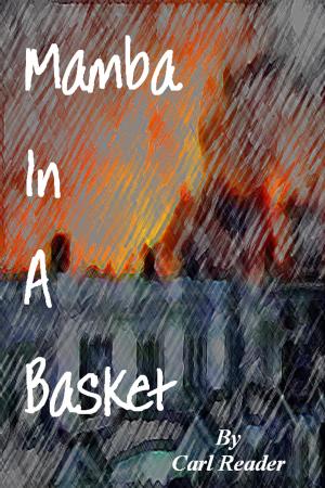 bigCover of the book Mamba In A Basket by 