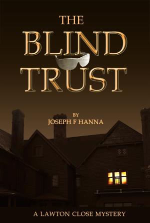 Cover of the book The Blind Trust by Doyle Maunder