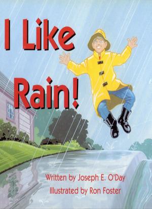 bigCover of the book I Like Rain! by 