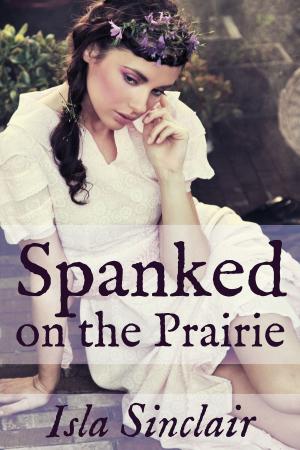 Cover of the book Spanked On The Prairie by Gia Van Rollenoof