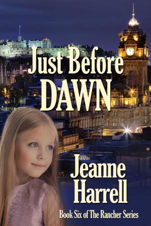 Book cover of Just Before Dawn, a Janie Ferguson Novel
