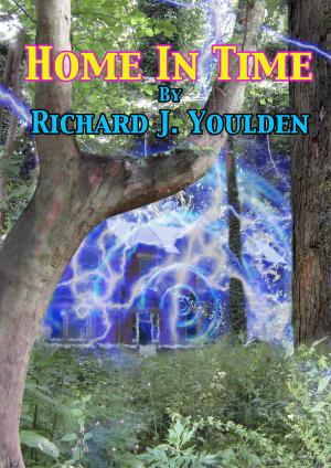 Cover of the book Home in Time by T.F.B