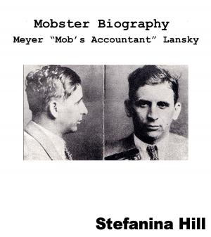 Cover of Mobster Biography: Meyer Lansky