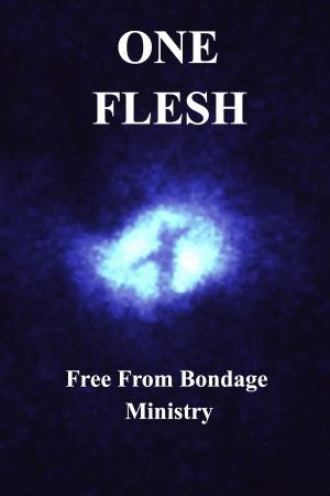 Cover of the book One Flesh by Peta Jane Kayes