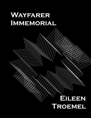 Cover of the book Wayfarer Immemorial by Audra Hart