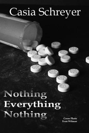 Book cover of Nothing Everything Nothing