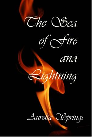 Cover of the book The Sea of Fire and Lightning by Isi Dea