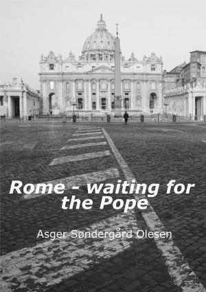 Book cover of Rome: waiting for the Pope