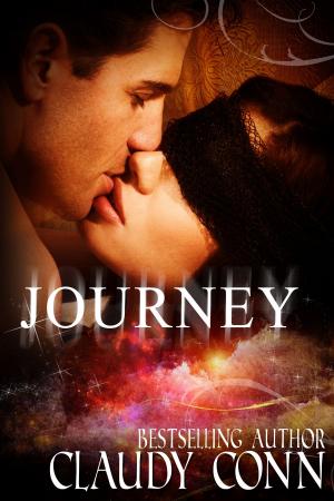 Cover of the book Journey by Maddy Barone