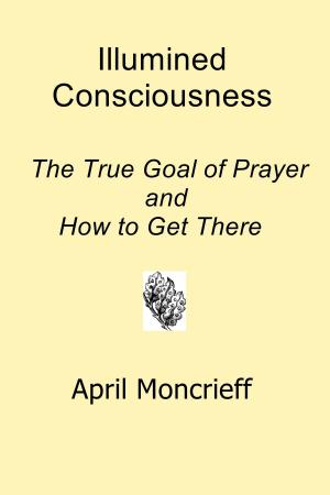 Book cover of Illumined Consciousness: The True Goal of Prayer and How to Get There