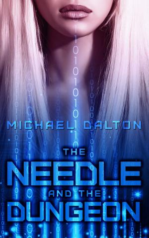 Cover of The Needle and the Dungeon