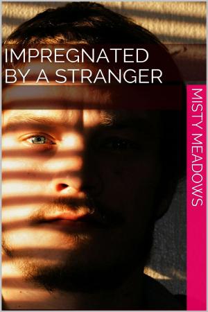Book cover of Impregnated By A Stranger (Impregnation)