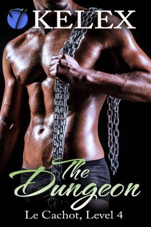 bigCover of the book The Dungeon (Le Cachot, Level Four) by 