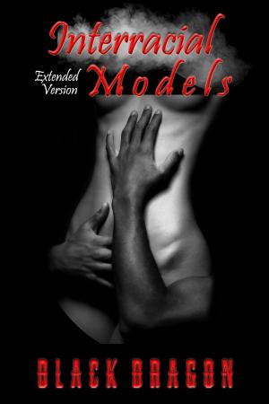 Cover of the book Interracial Models by Kristin Gleeson