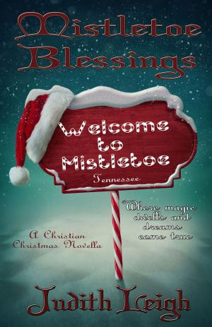 Book cover of Mistletoe Blessings