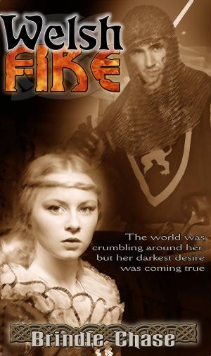 bigCover of the book Welsh Fire by 