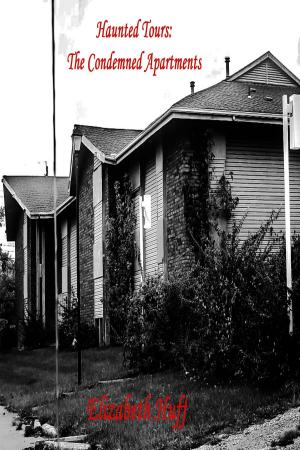 Cover of Haunted Tours: The Condemned Apartments