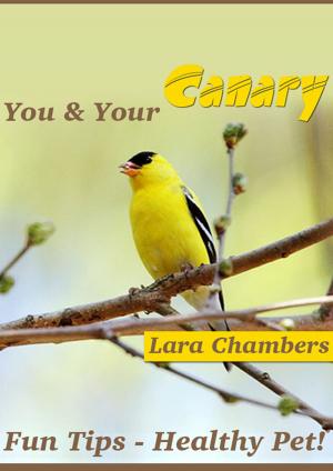 Cover of You and Your Canary: Fun Tips and Health Pet