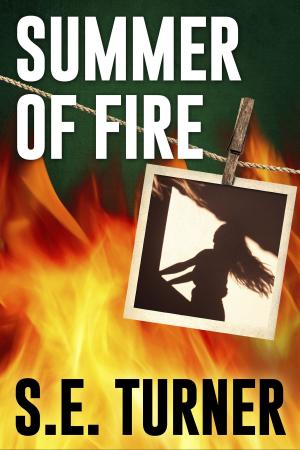 Cover of the book Summer of Fire by Amanda McCabe, w/a Amanda Carmack