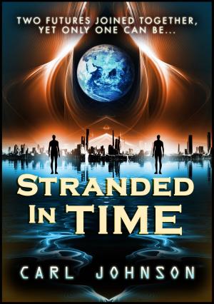Cover of the book Stranded in Time Complete Collection by Lily Taffel