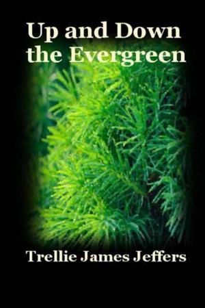 Book cover of Up and Down The Evergreen