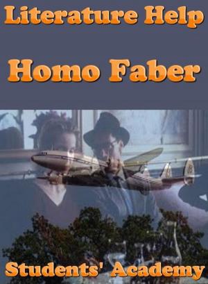 Cover of the book Literature Help: Homo Faber by College Guide World